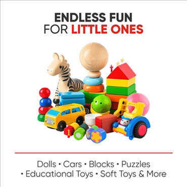 Picture for category TOYS