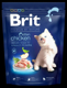 Picture of Brit Premium Kitten Chicken 300gm