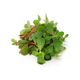 Picture of Fresh Saag Kulfa