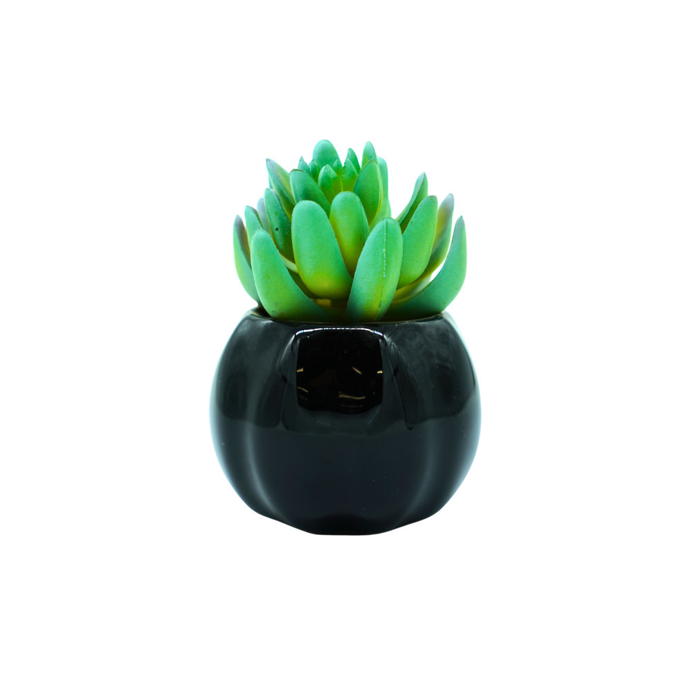 Picture of Table Plant ST-6